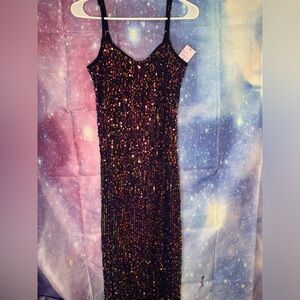 Wild Fable Multicolor Sequin Dress
